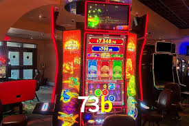73b.com