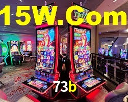 73b